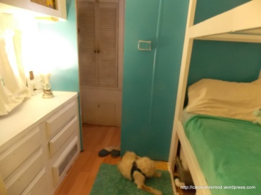 Blanca the Dog has found her place in Nixi's new room